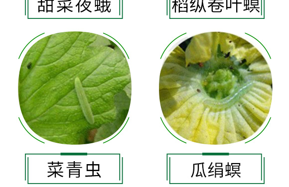 �װ������S���ر������}+���ҹ����Ͷ���w����-����ֵ�-�¹چ̵�