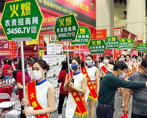 ȫ�W(w��ng)�ƏV������(zh��n)���̣����r(n��ng)�Y�W(w��ng)�W���ǈ�(ch��ng)��