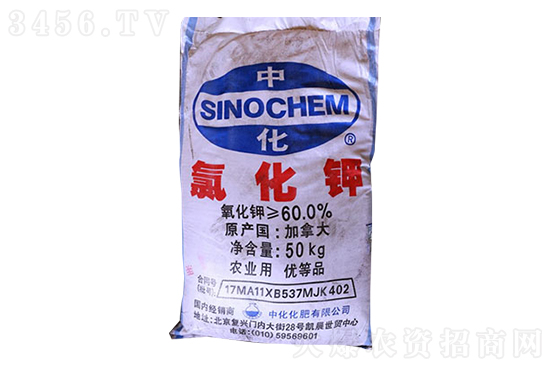 �����Ȼ�⛃r���������2023-2-4