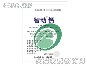 �S�����-�Ǆ��}