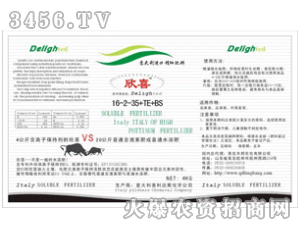 �S�����-��ϲ16-2-35