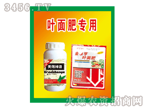 ��̩��-���n��Һ