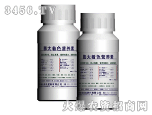 �����������ɫ�I(y��ng)�B(y��ng)��