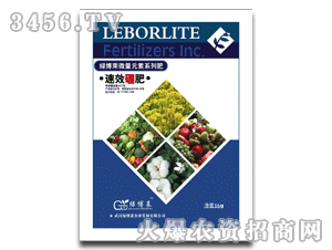 �G���R��Ч���(16g)