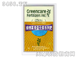 �G���R�C��΢��Ԫ��