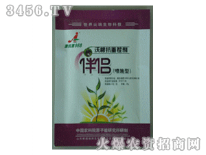 �Ӽ���-���ز焩��H