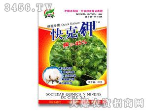 �����I(m��i)����(20��45%)