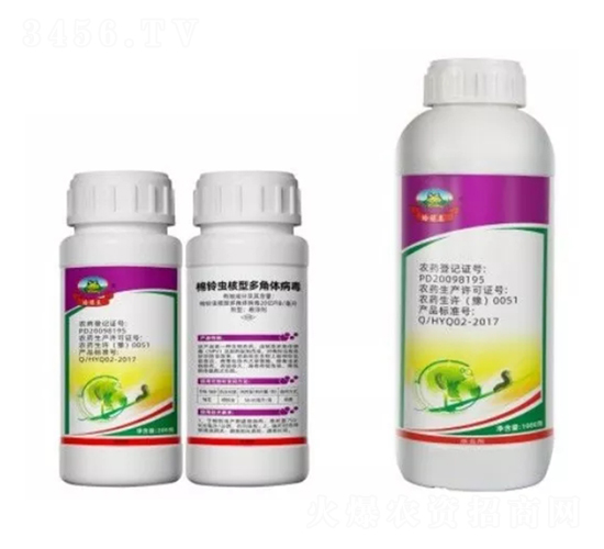 ����x���Ͷ���w�����Ҹ���-�����-�¹�