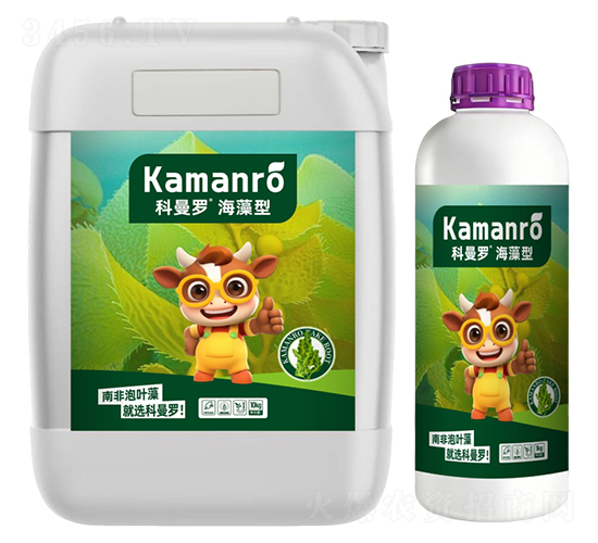 ������-�����_