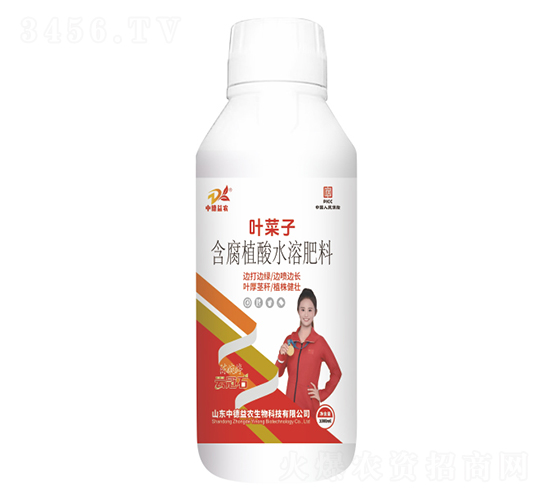 ����ֲ��ˮ�ܷ���-�~����-�ƹ�ʯ