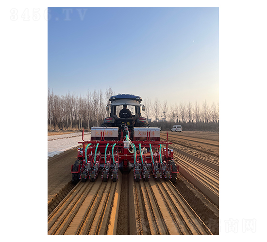 2��8�С��������޲˲��N�C(j��)-��혾��h