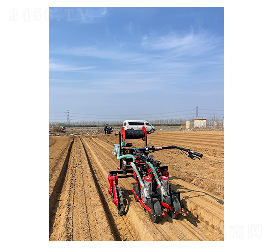 ��������ʽ�������(q��)�}���ײ˲��N�C-��혾��h