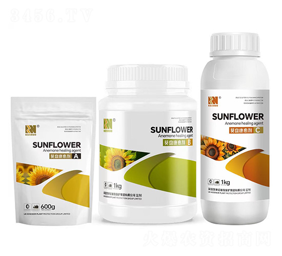 ���P(p��n)������A+B+C�M���ײ�-�Pِ�Z