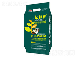 �������⛣�����������}�ͣ�12-6-37+TE-�|����-(li��n)�r���S��