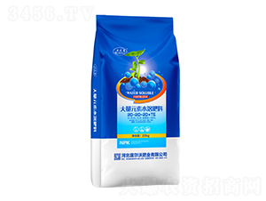 大量元素水溶肥料20-20-20+TE-富爾沃