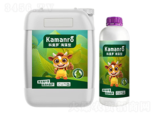 ������-�����_