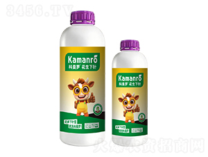 �������-�����_