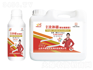 �������w��(�۹Ȱ�����)-�ƹ�ʯ