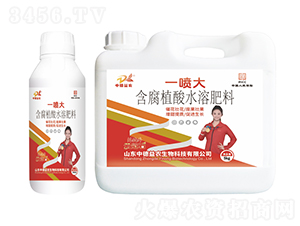 ����ֲ��ˮ�ܷ���-һ����-�ƹ�ʯ