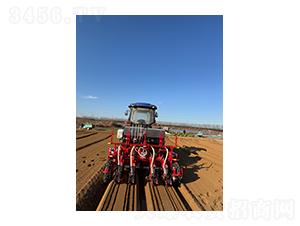 ������ײ˲��N�C(j��)-��혾��h