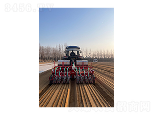 2��8�С��������޲˲��N�C(j��)-��혾��h