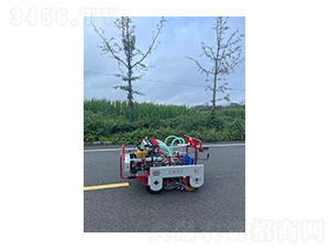 ��������ʽ�������(q��)�}���ײ˲��N�C(j��)-��혾��h