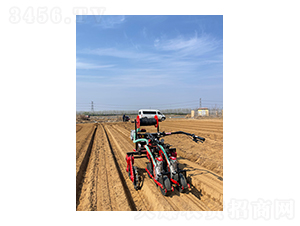 ��������ʽ�������(q��)�}���ײ˲��N�C-��혾��h