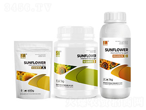 ���P(p��n)������A+B+C�M���ײ�-�Pِ�Z