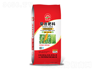 �����p���pЧ��(f��)�Ϸ���28-13-10-�t���o(j��)