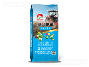 �p�������ͺϷ���25-10-5-�t���o